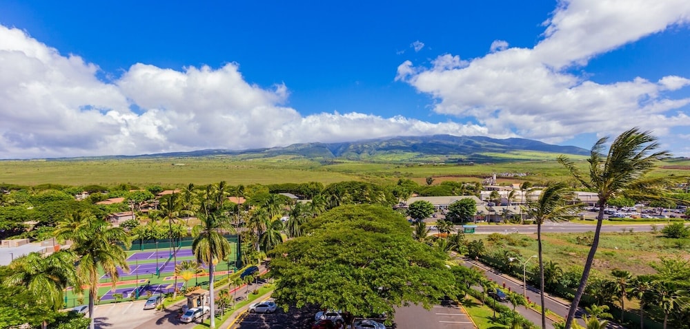 Kaanapali Shores Studio 742 Studio Bedroom Condo by RedAwning