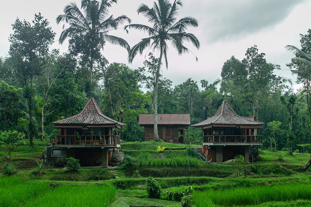 Tepi Sawah Lodge