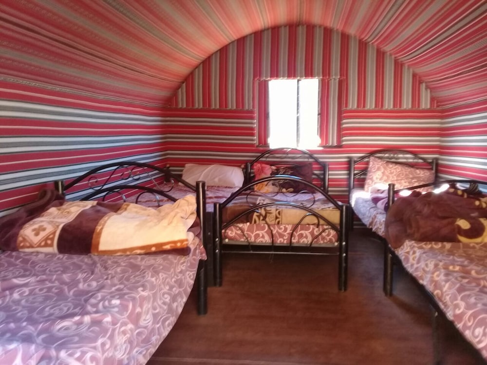 Wildlife Camp