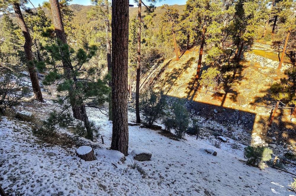 No 34 Bald Eagle Lodge