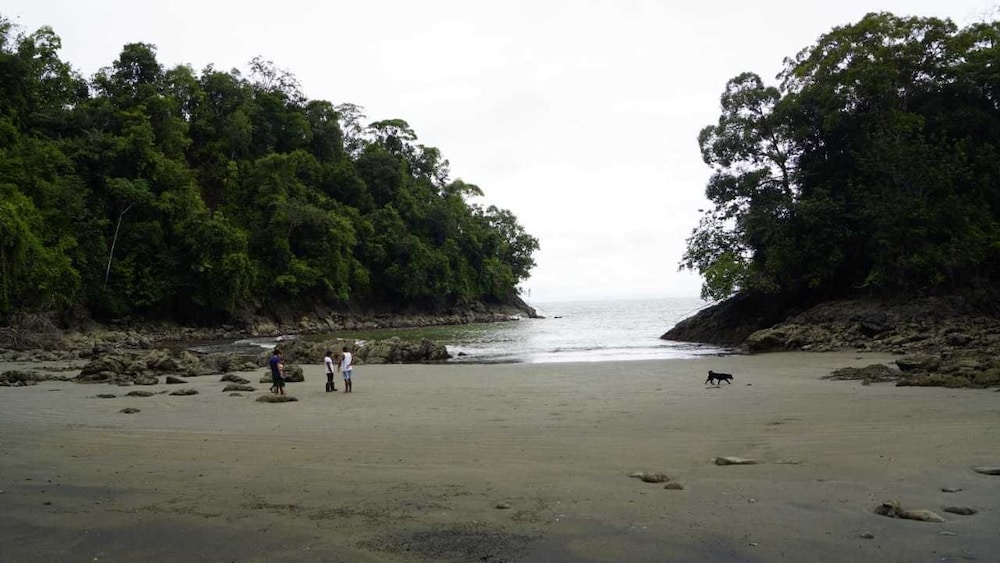 Photo 40