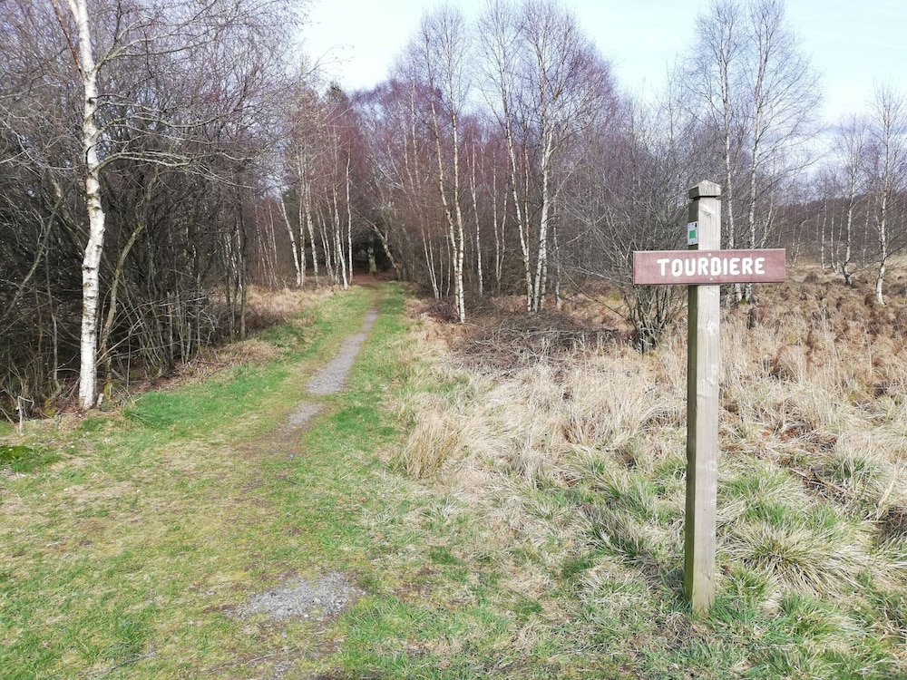 Escape in Hautes Fagnes