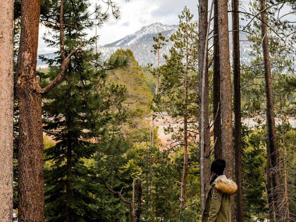 Tahoe Valley Campground