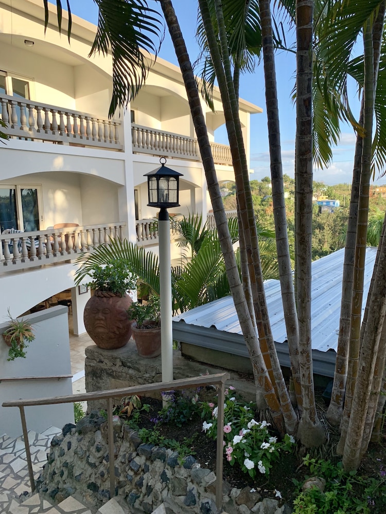Lazy Parrot Inn - Property Image 1