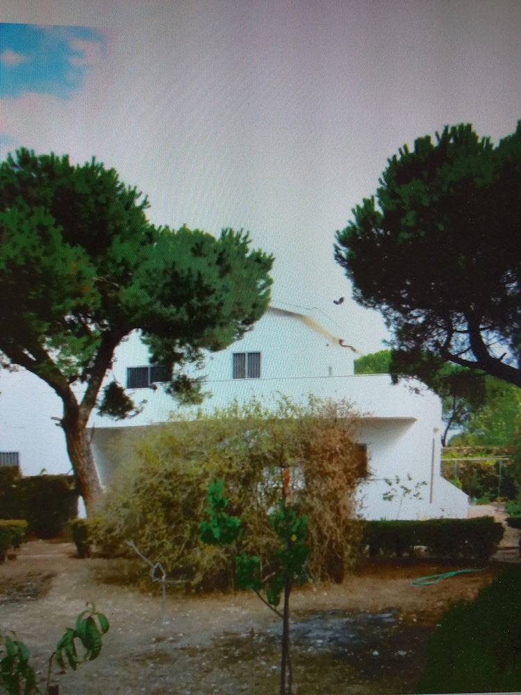 Photo 22