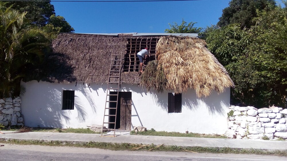 Photo 18