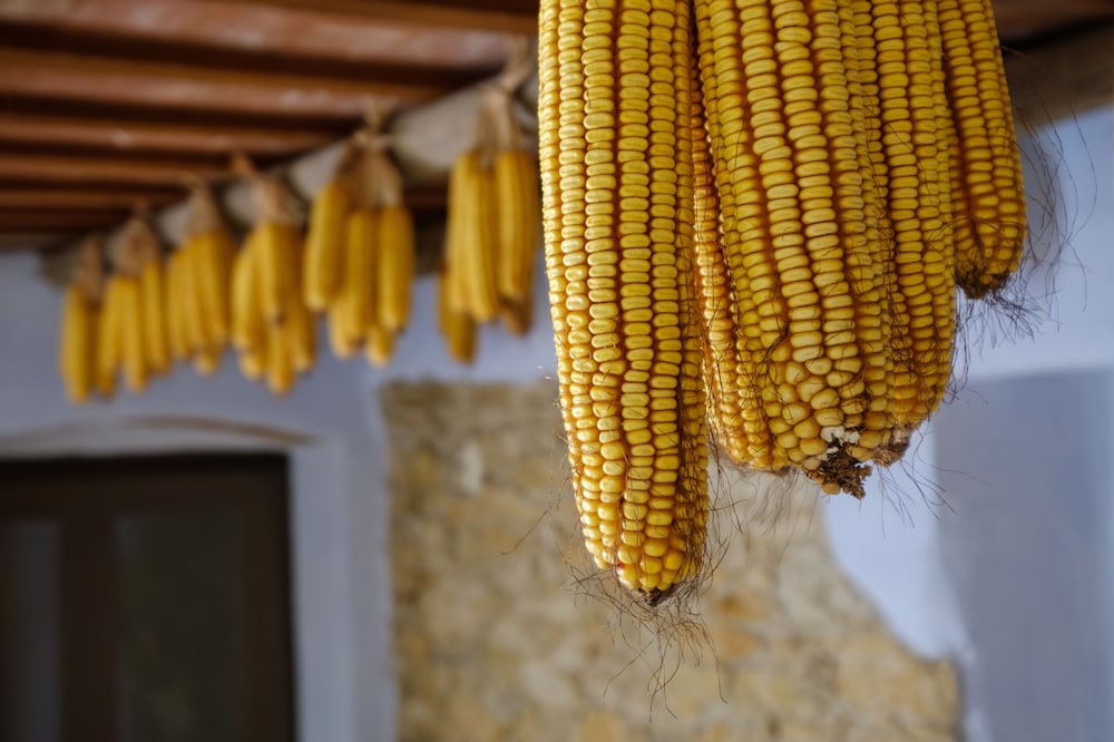 Can Barnosell - Els Masos d'en Coll