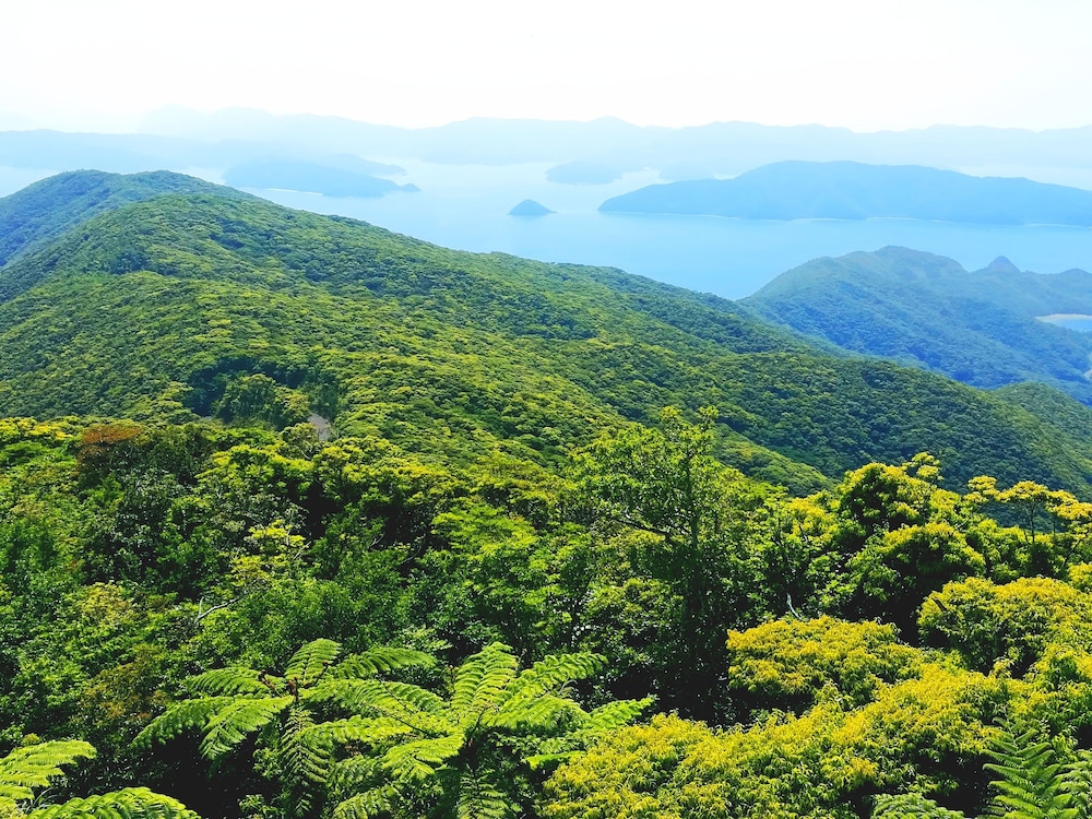 Amami Oshima Guest House Showa-sou - Hostel view 5