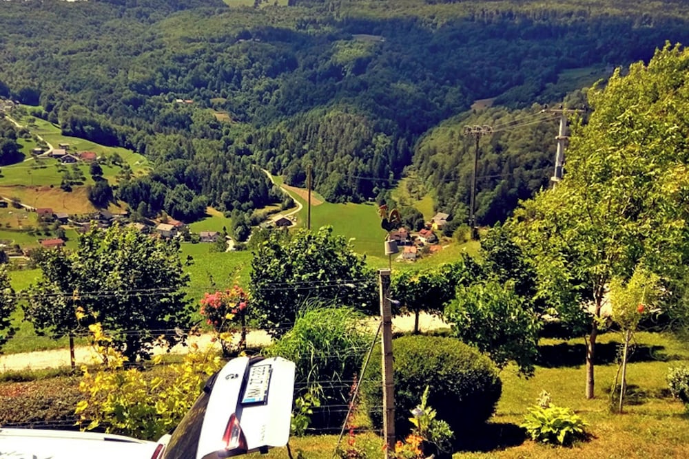 Photo 11