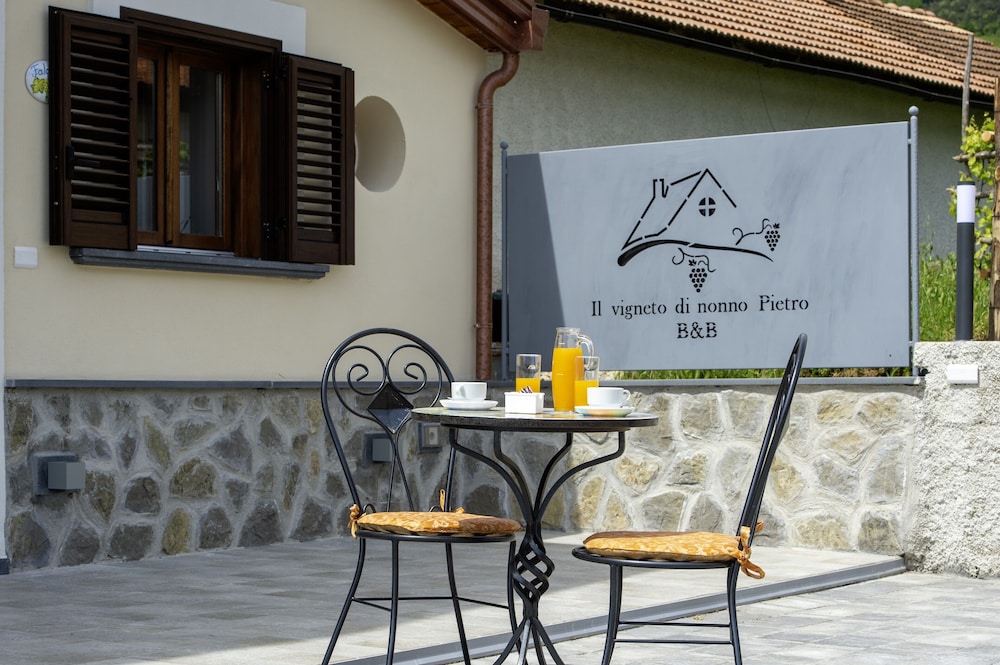 IL vigneto di nonno Pietro