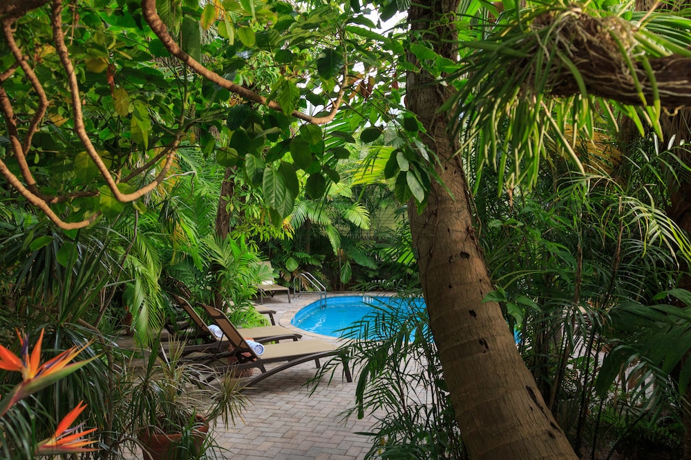 Tropical Inn