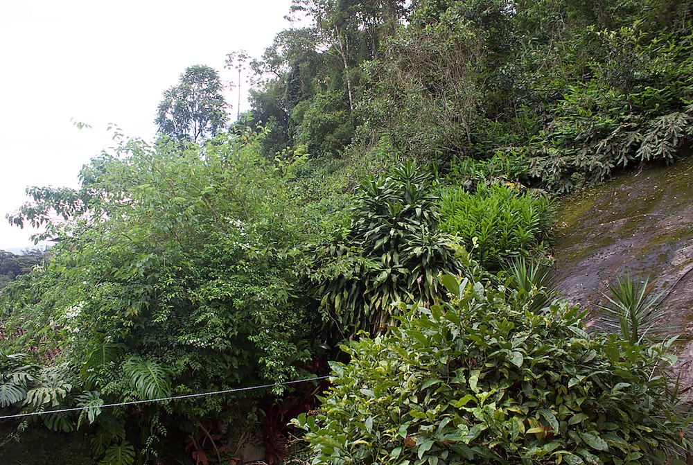 Pousada Jardim dos Poetas