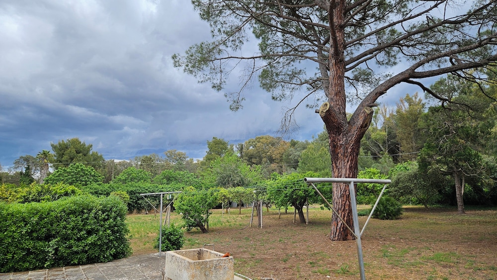 La Pineta