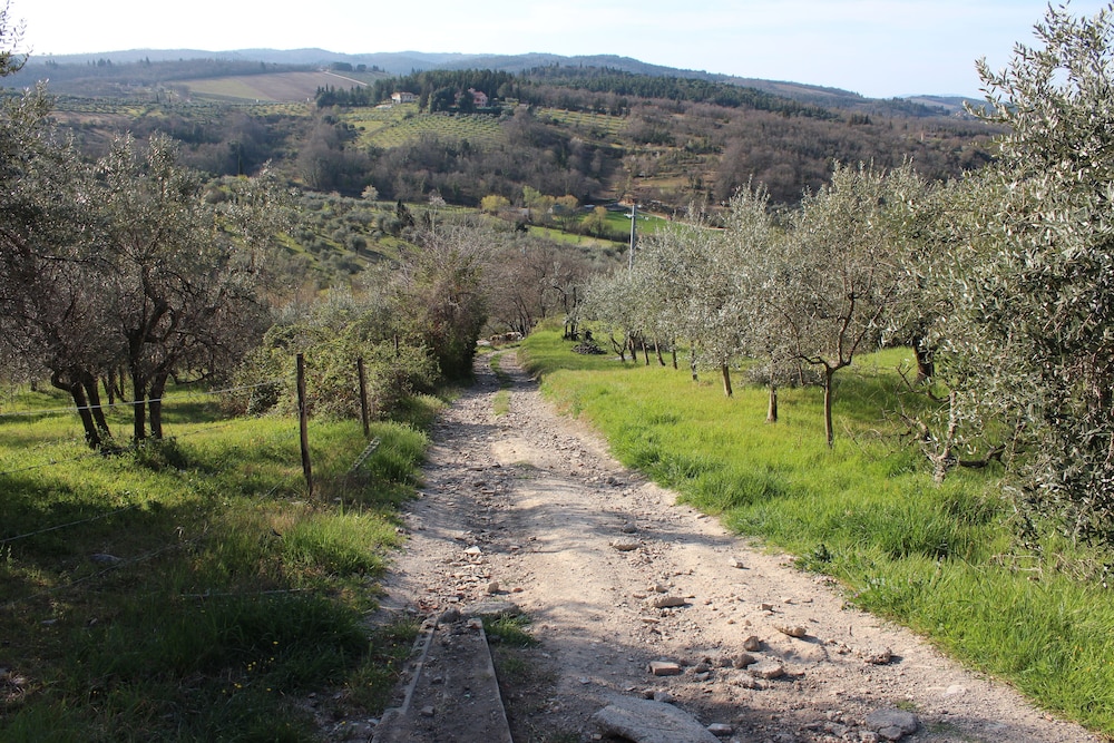 Bed & Breakfast Le Terrazze del Chianti