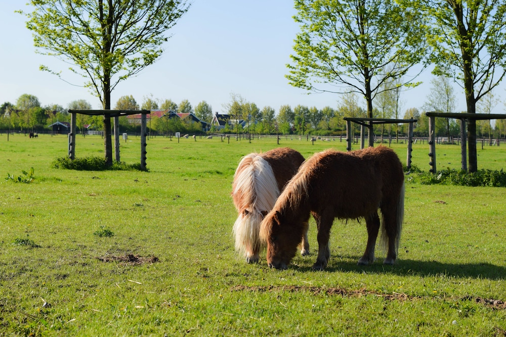Hoofddorp Vacations - Van der Valk Hotel Schiphol - Property Image 19