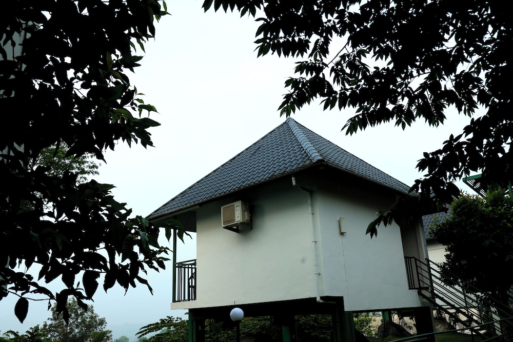 Wayanad Cave N Pillar Resort