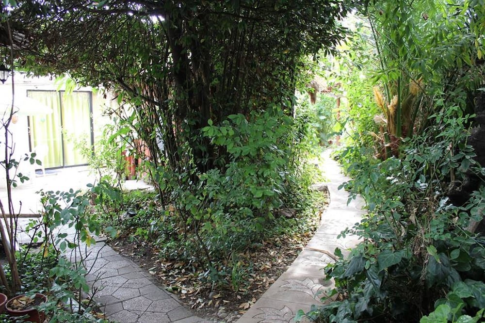 Photo 15