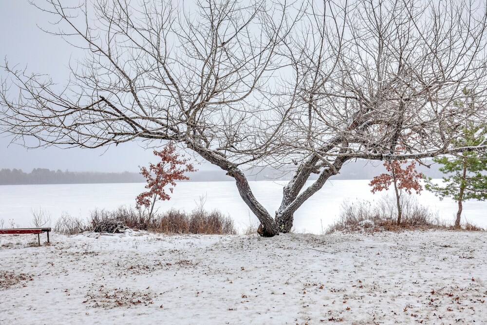 Fish Year-round: Riverfront Cottage in Rhinelander