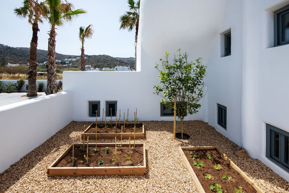 Ammilia Villa Naxos