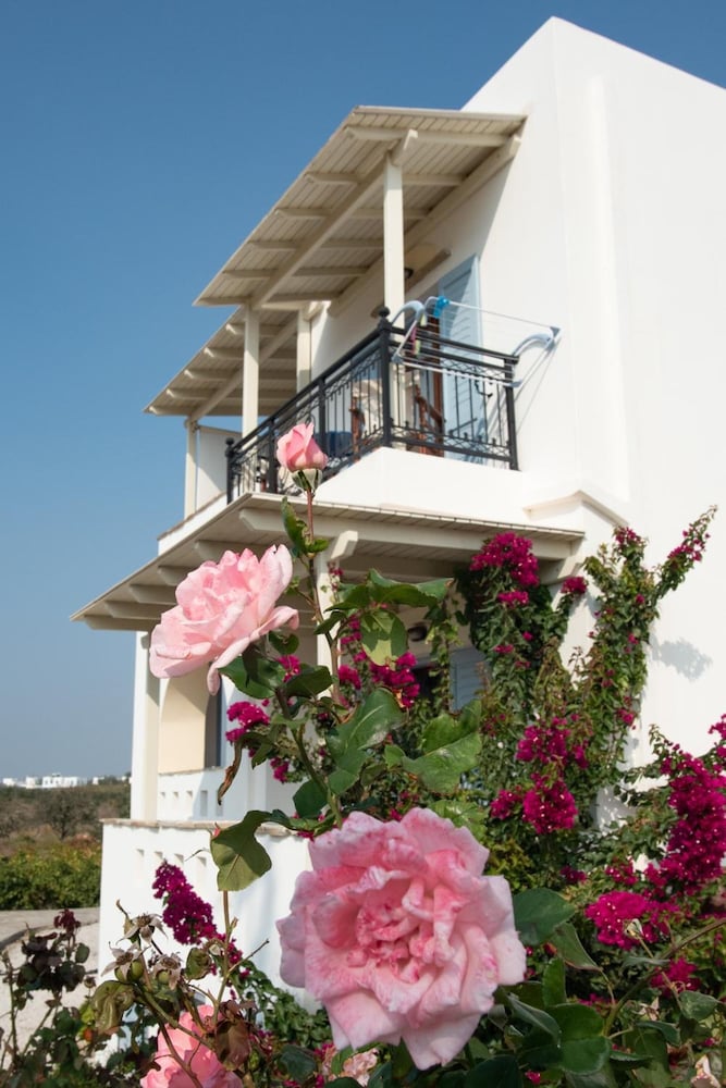 Mare Monte