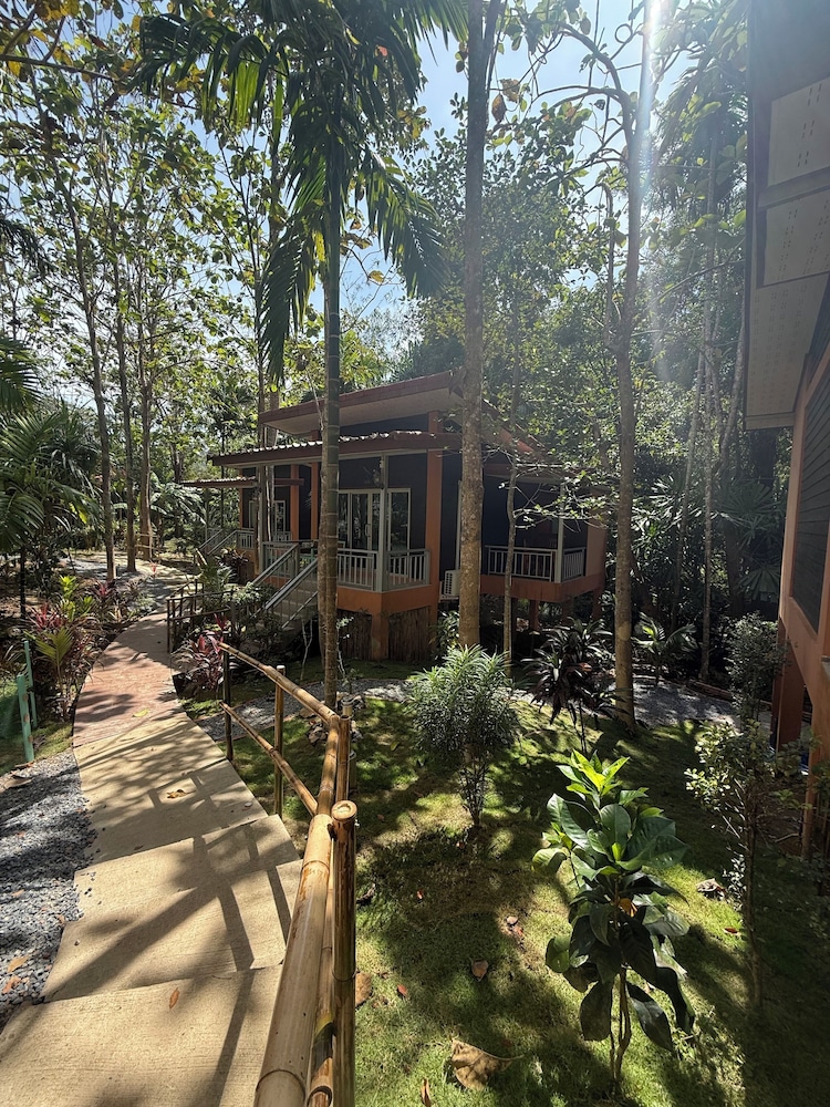Echo Samadhi