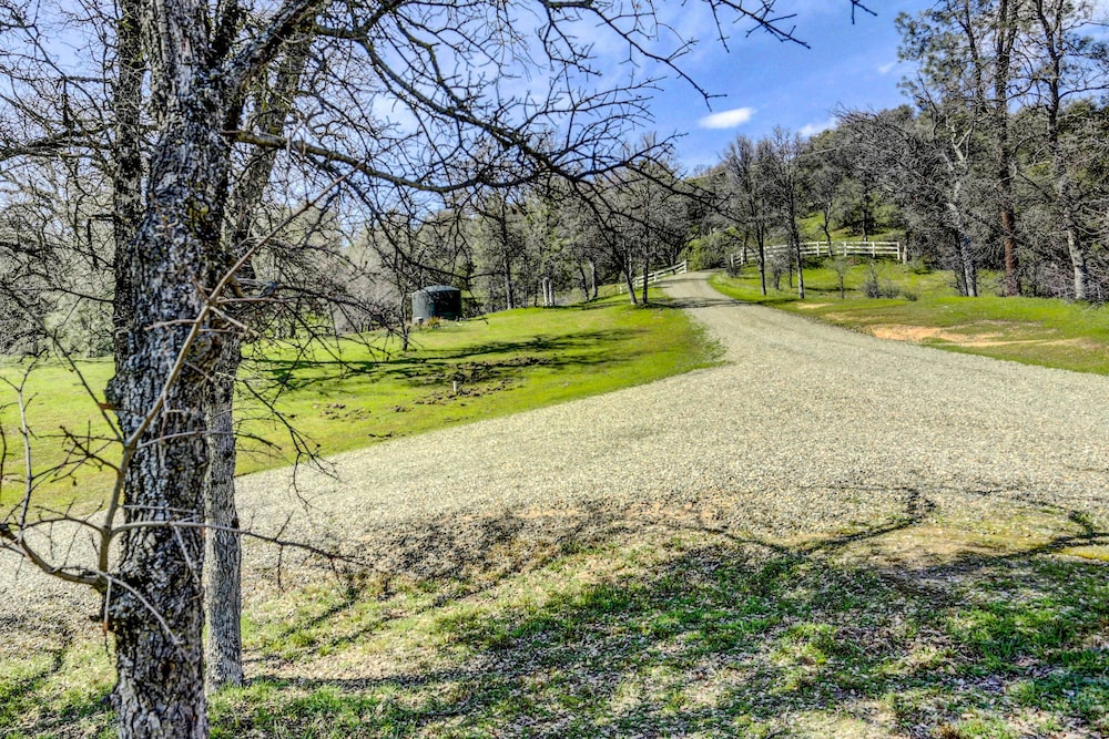 Spacious Mariposa Cabin w/ Deck & Private Hot Tub! view 3