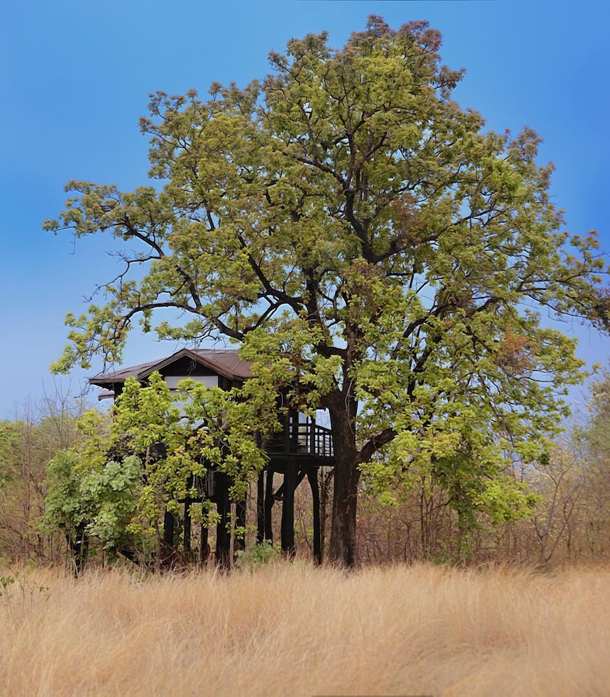 Pugdundee Safaris - Pench Tree Lodge