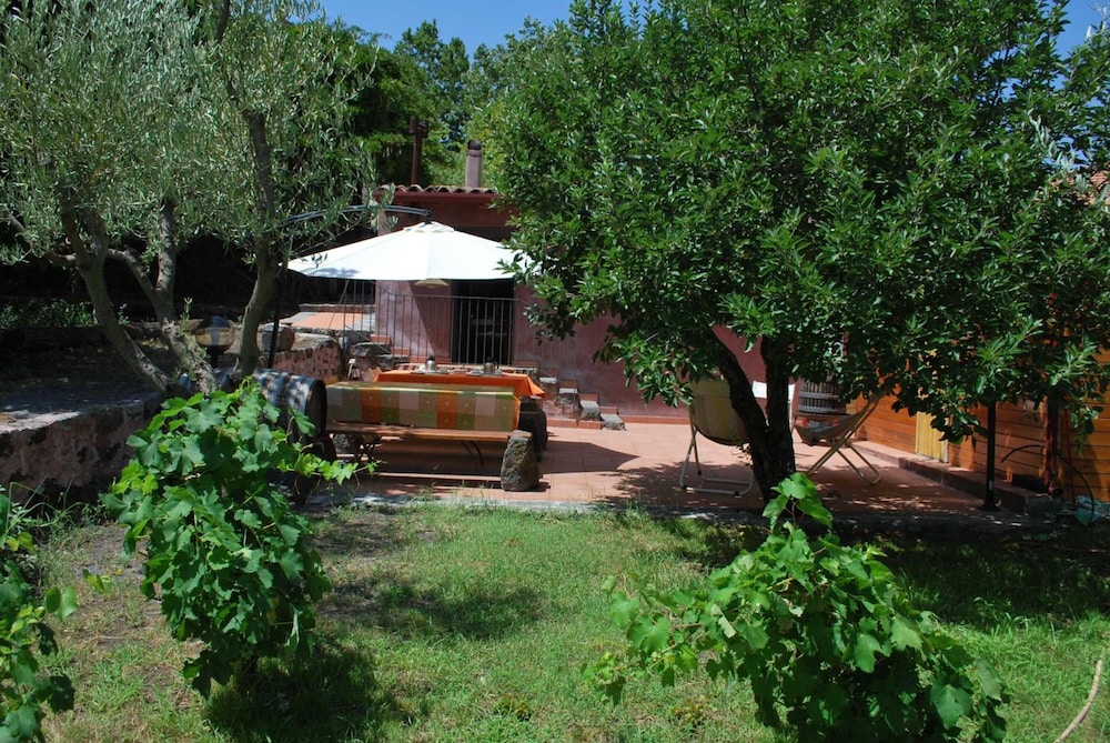 Case Zuccaro
