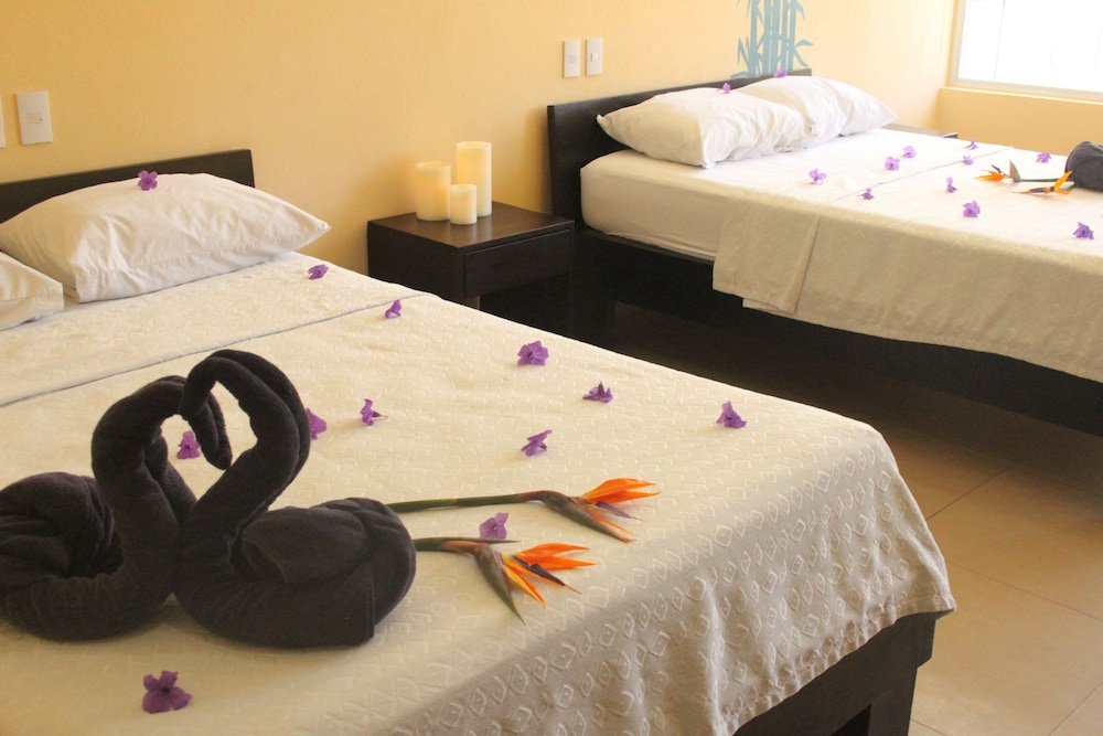 Room2Board Hostel and Surf School