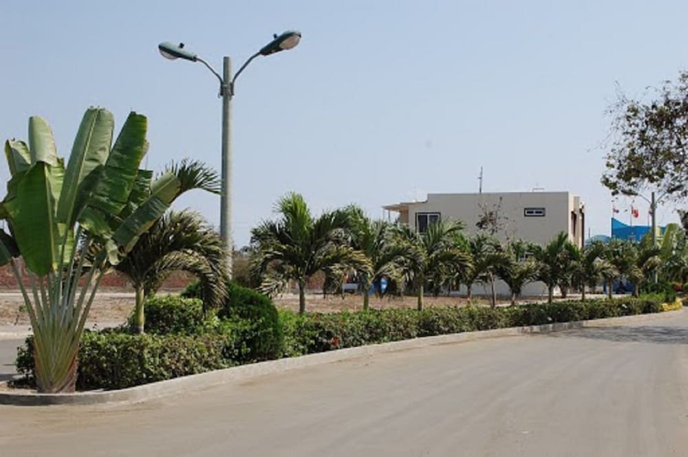 Photo 11