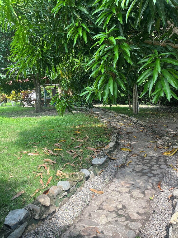 Tree of Life - Hostel