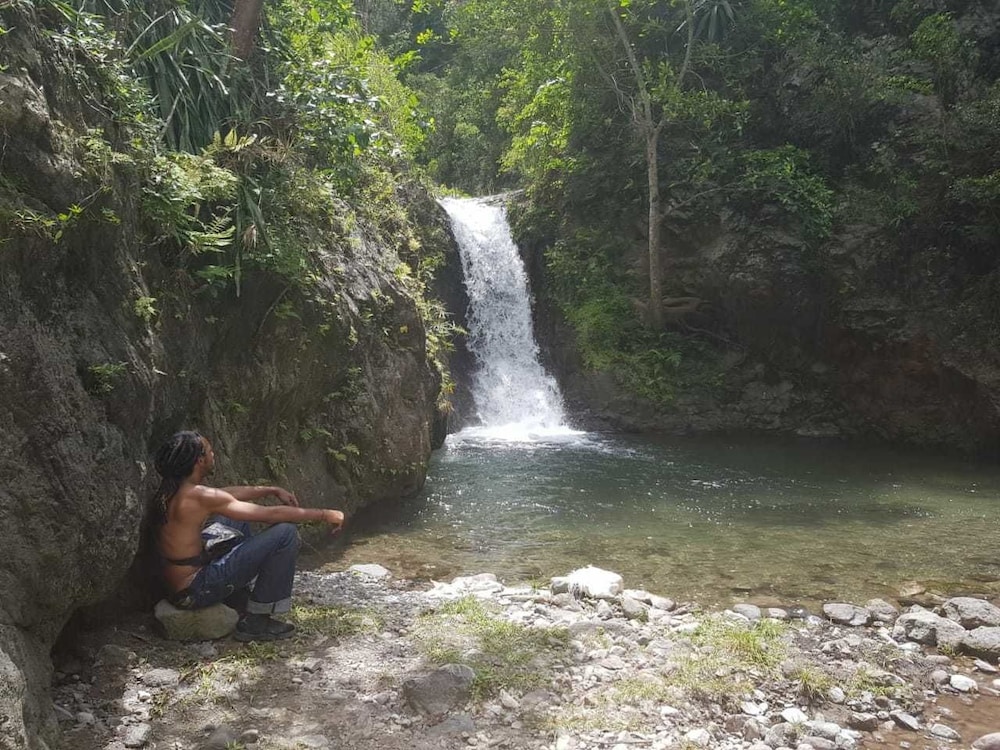 Yardie Guest House - Property Image 4