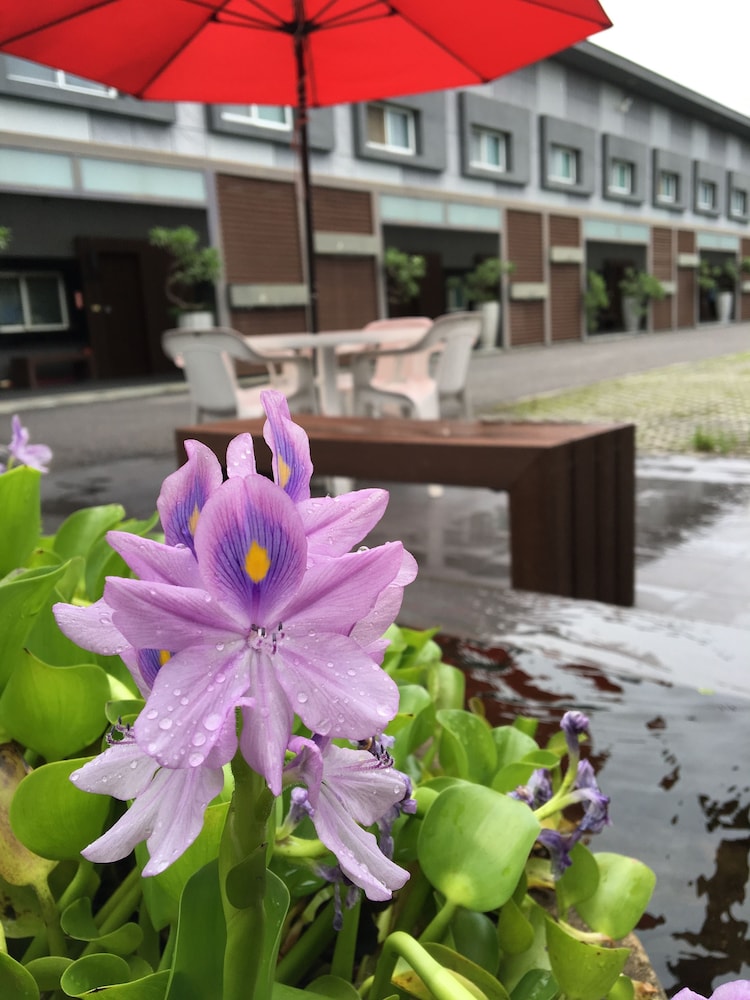 Nikaido Bussiness Hotel