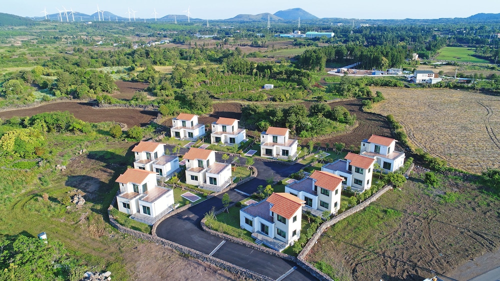 Dream in Jeju