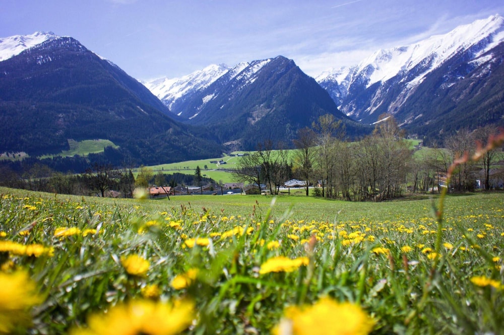 Apartment in Hohe Tauern Near Wildkogel Arena