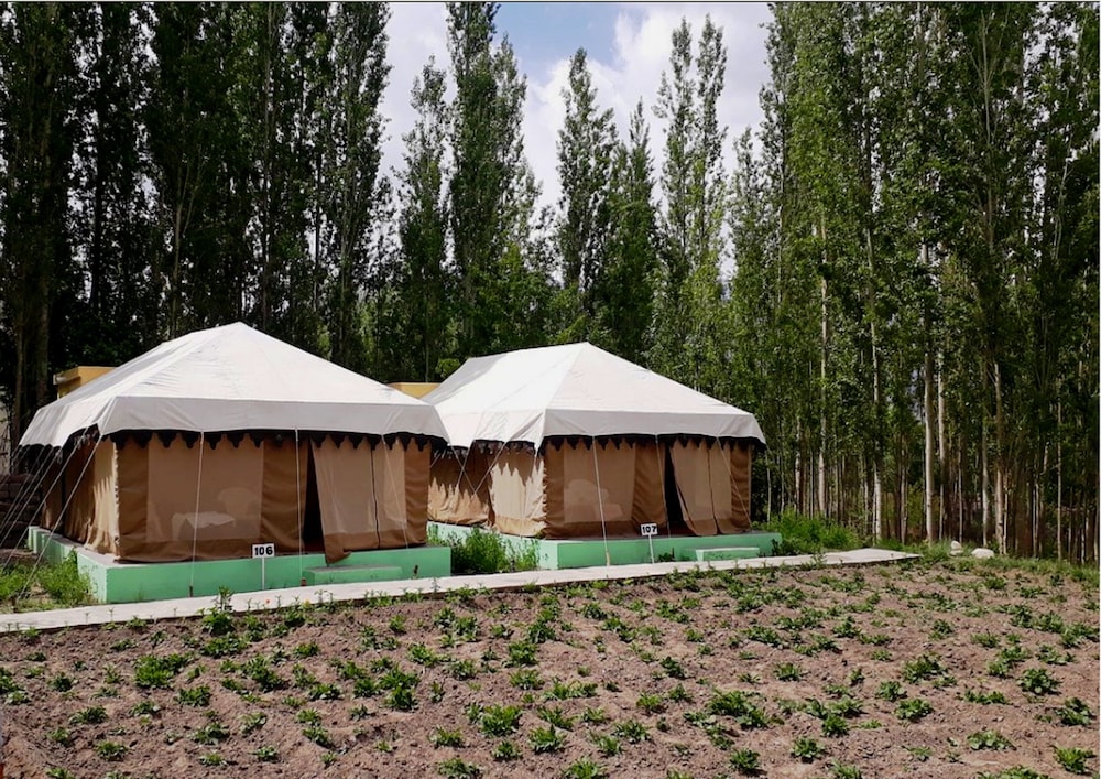 TIH Mystique Meadows Camp