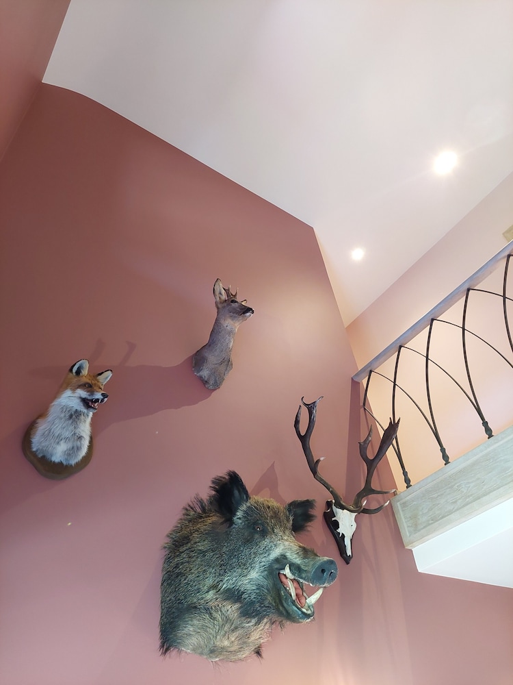 Cha Cha de Loup B&B - Vakantiewoning