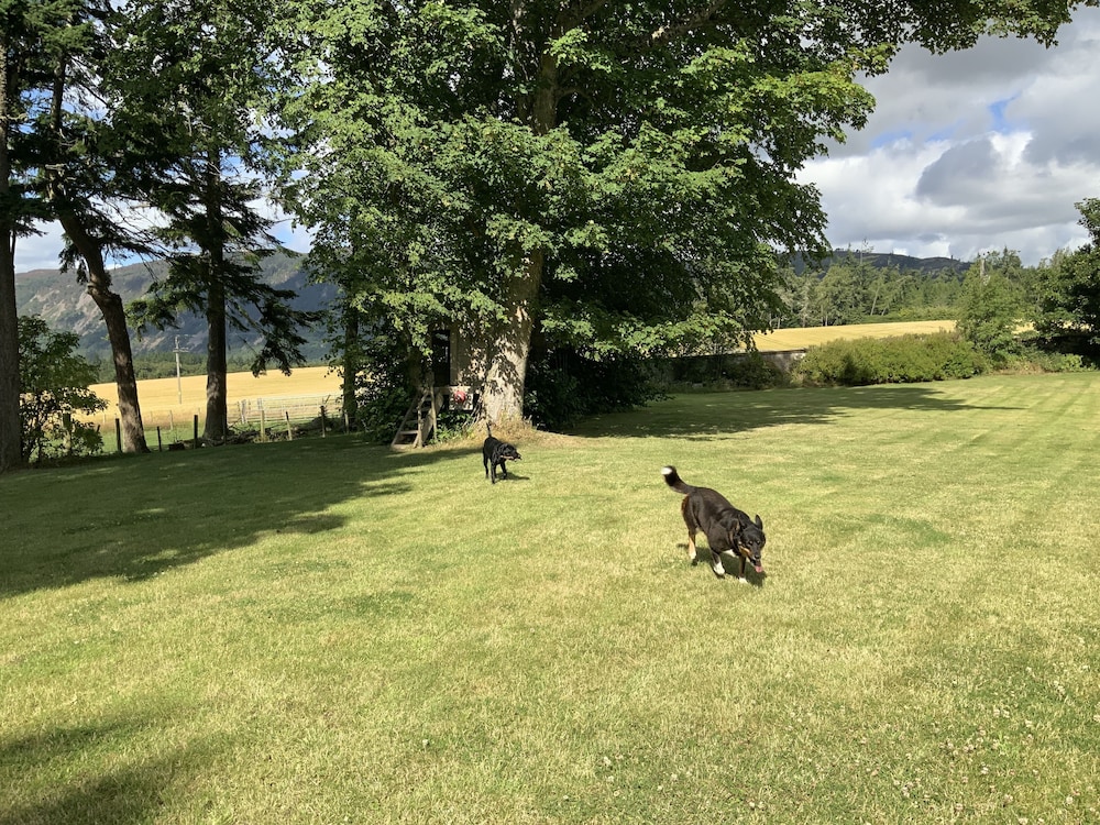 Photo 36