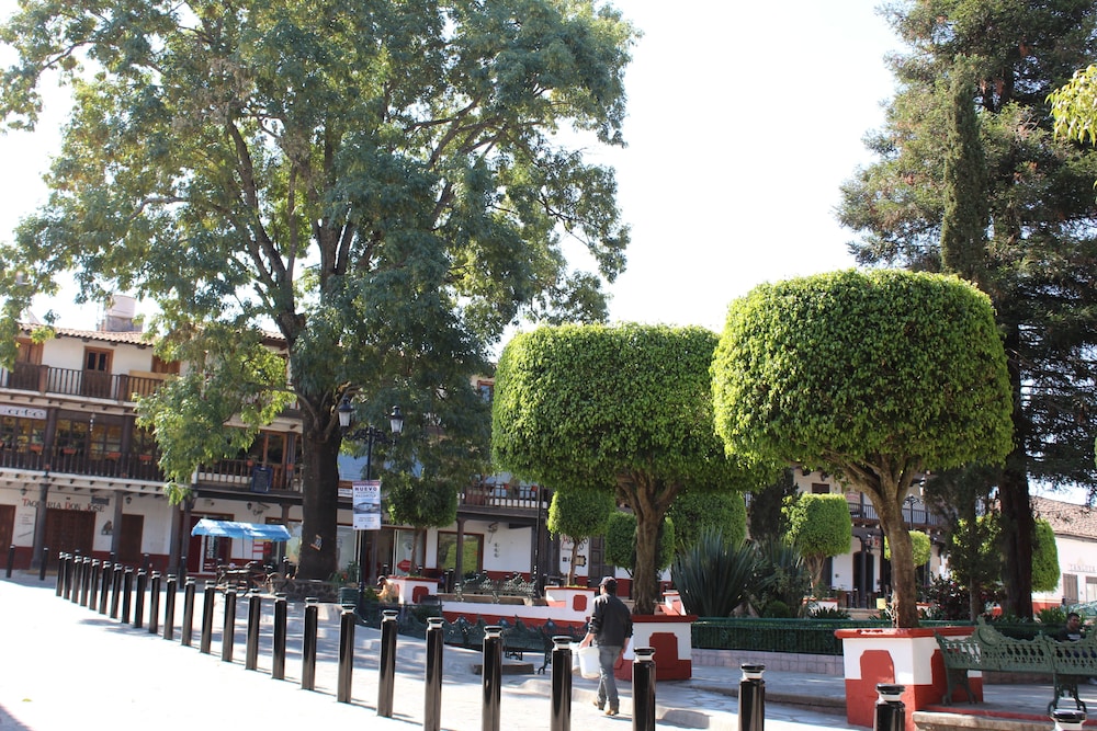 Photo 41