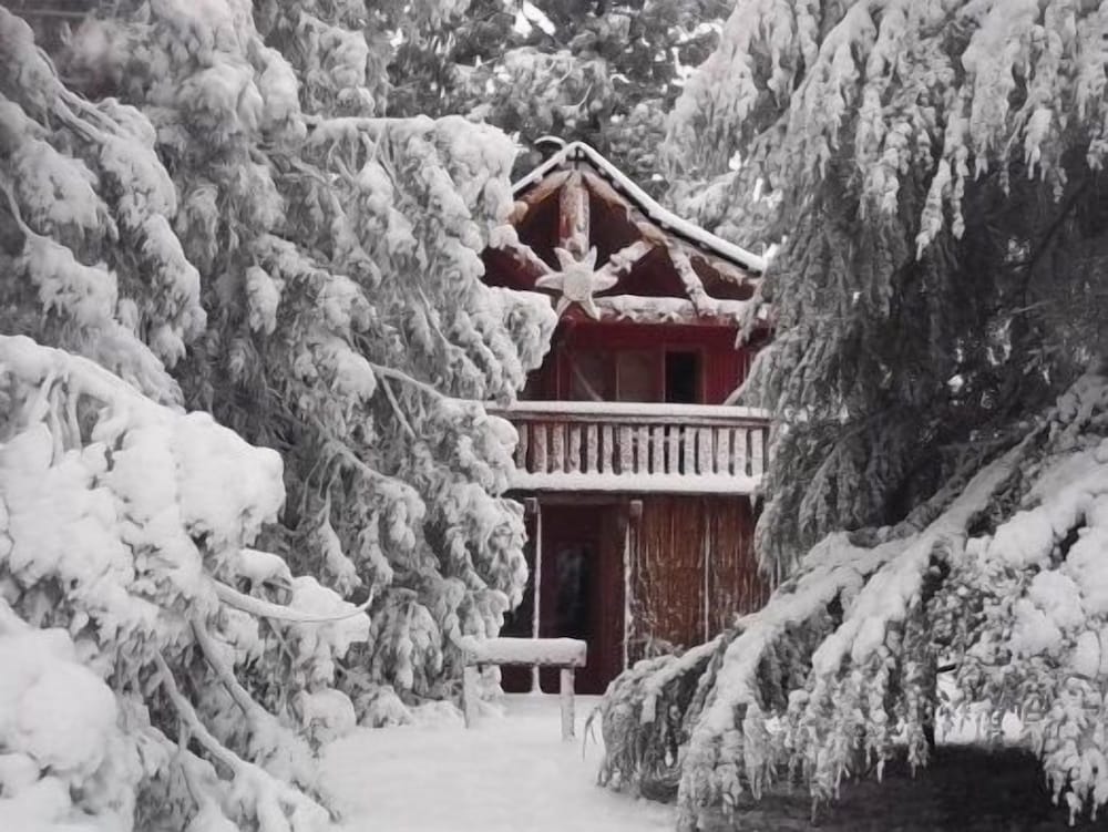 Sycamore Avenue Treehouses