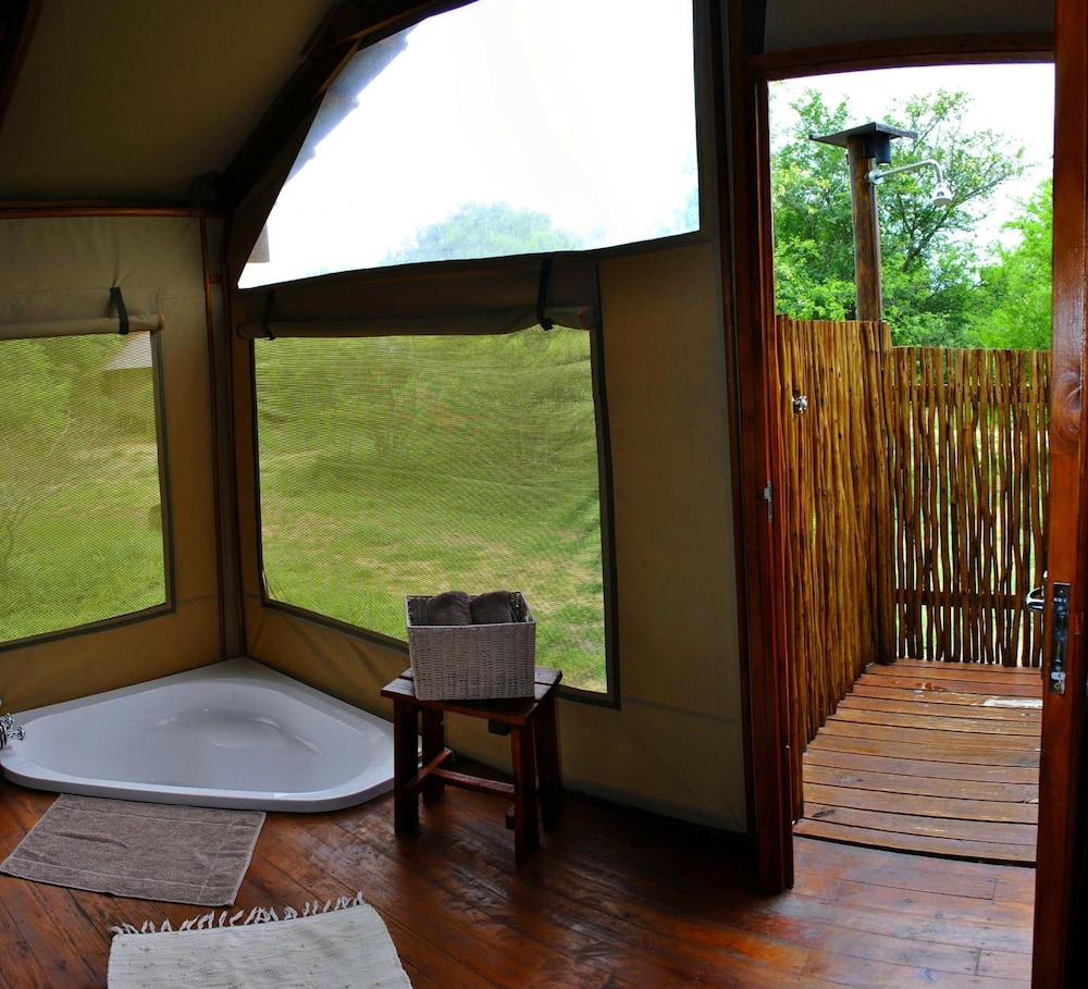 Lion Tree Top Lodge