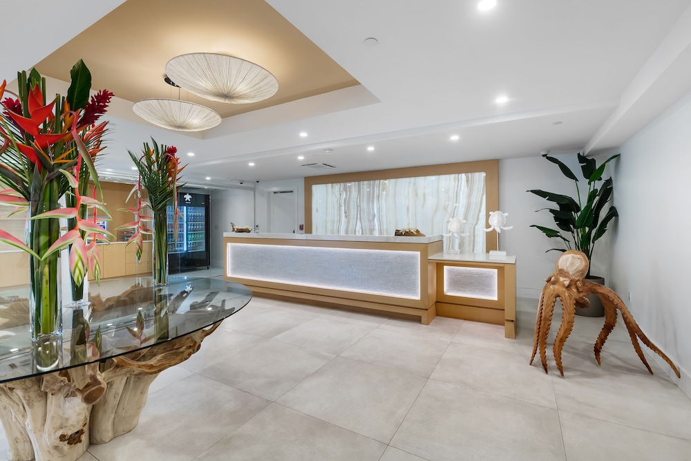 recepcion & lobby