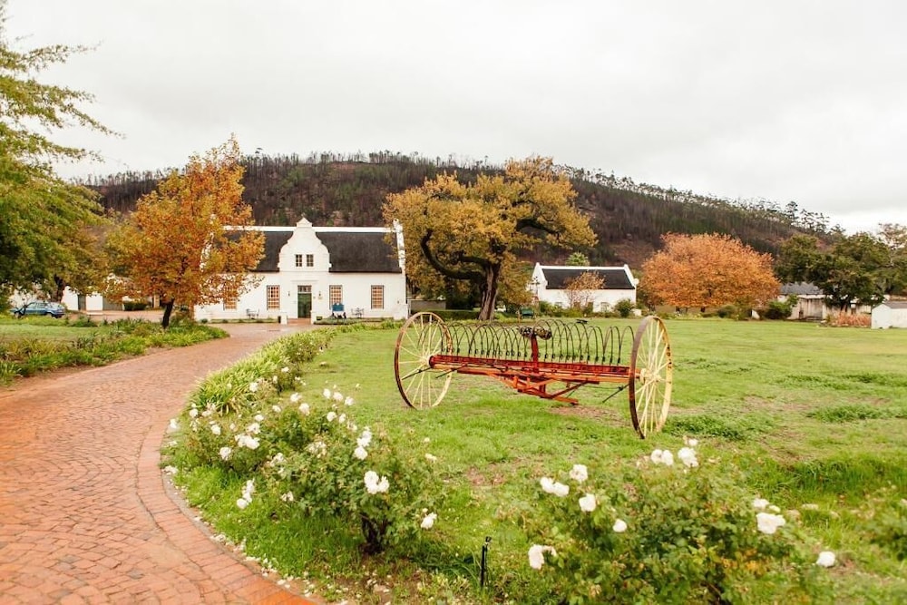 Basse Provence