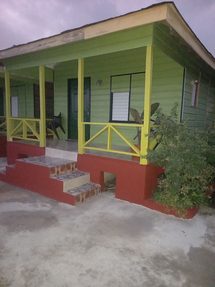 Photo 41