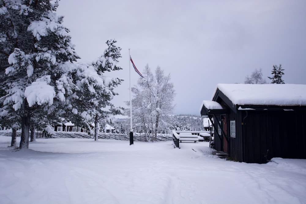 Photo 45
