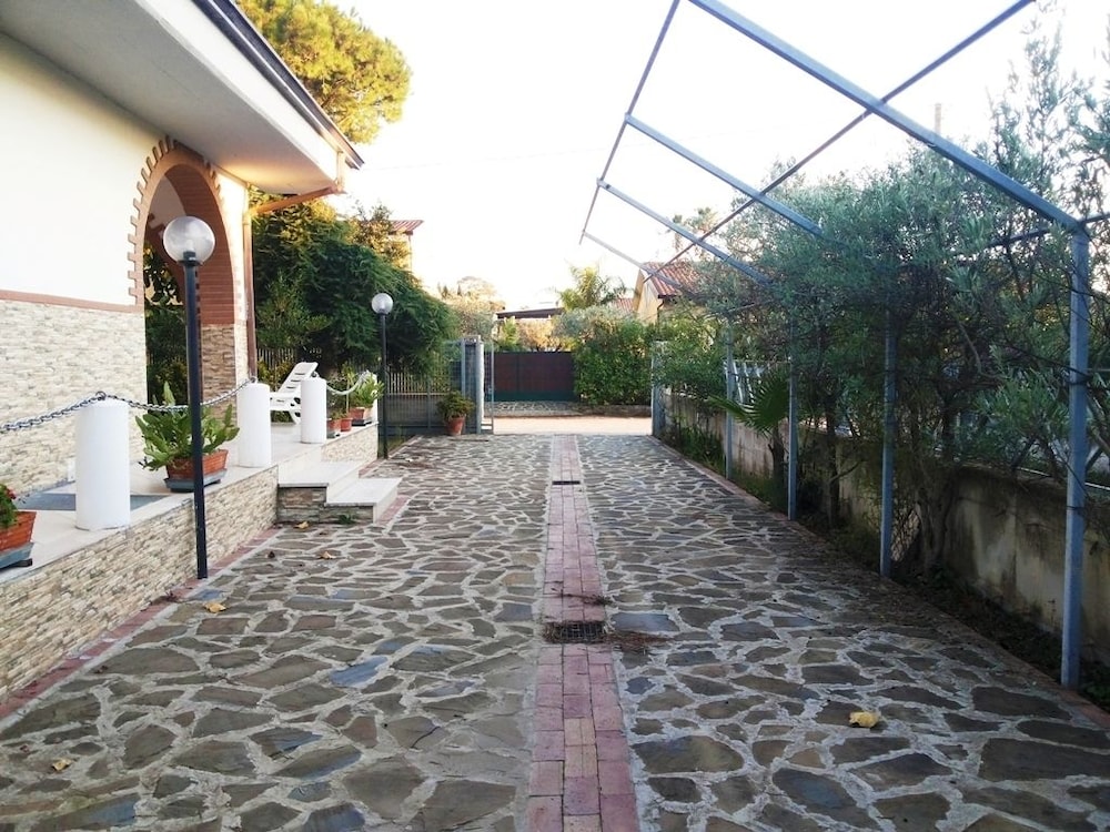 Photo 8