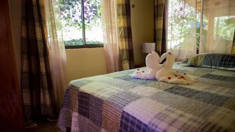 Pura Natura Lodge Arroyo
