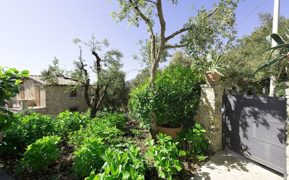 Villa Nova