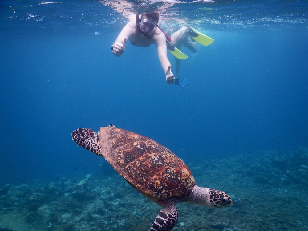 Equa Reef Maldives