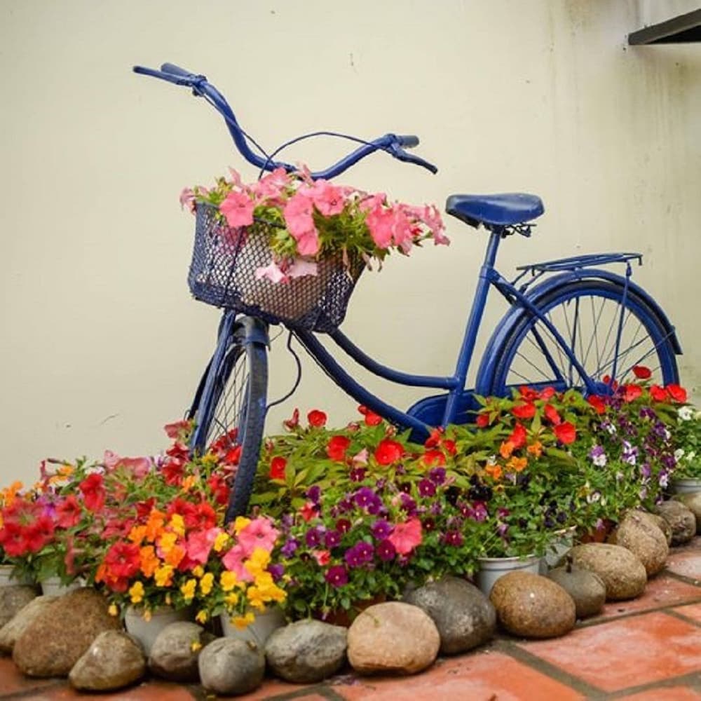 Bonjour Homestay - Hostel